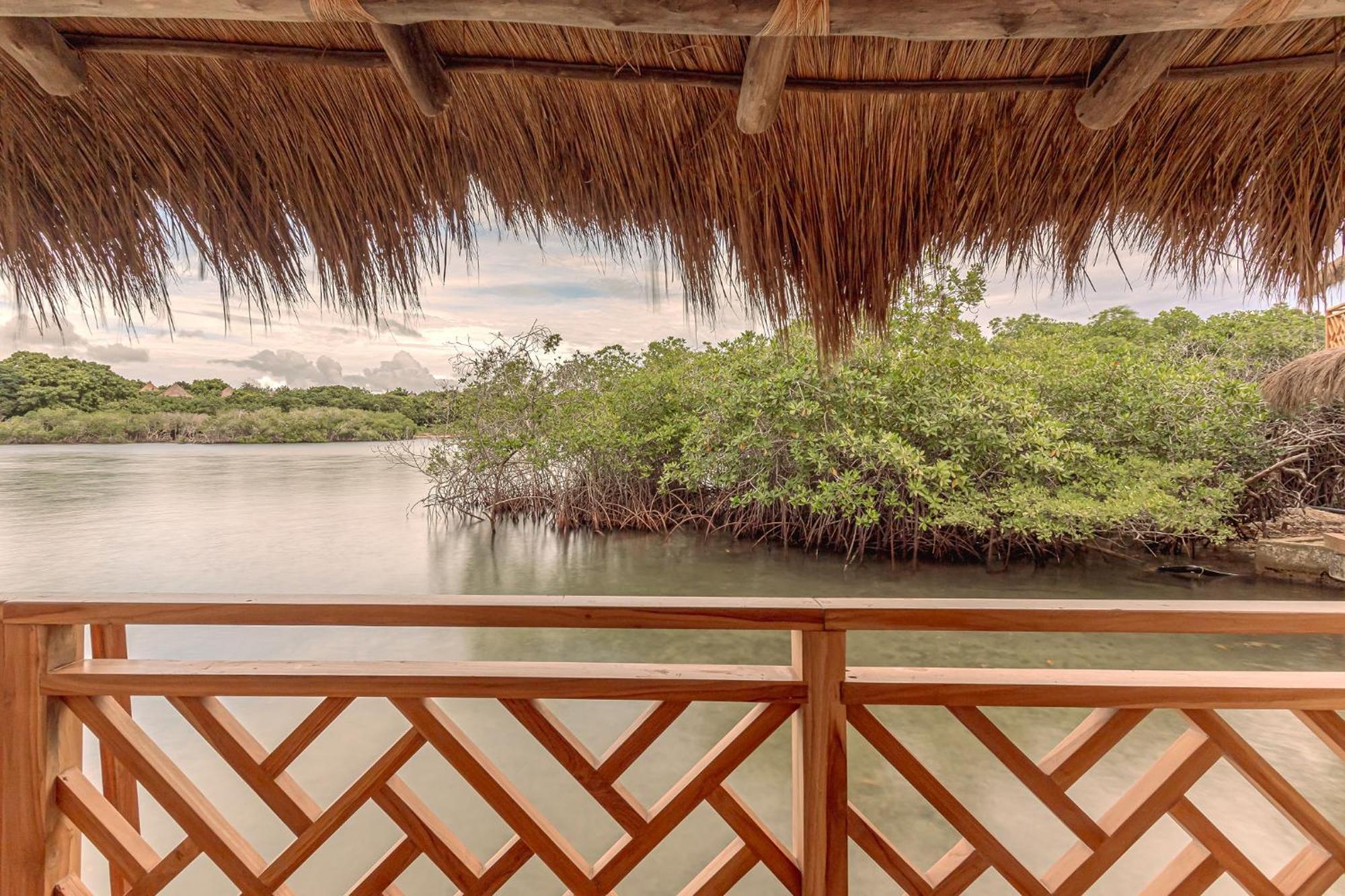 Islawa Soy Local - Isla Privada Baru